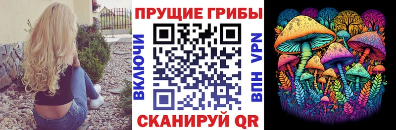 Галлюциногенные грибы GOLDEN TEACHER  OMG зеркало  Камышин 